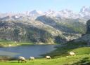 Picos de Europa