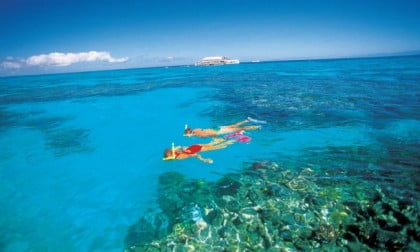 016691	Snorkelling - Hardy Reef, Great Barrier Reef