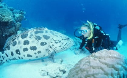 Buceo en Costa Rica