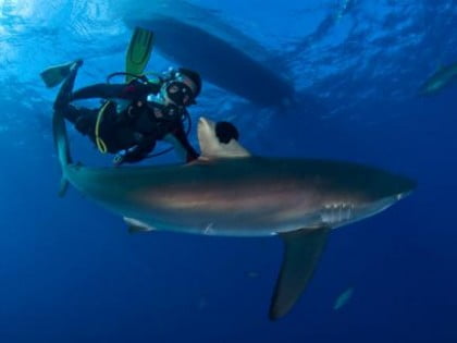 Buceo en Cuba