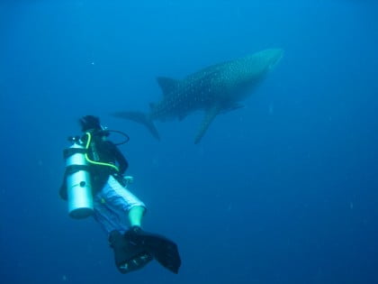 Buceo en Filipinas