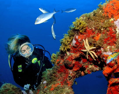 Buceo en Gran Canaria