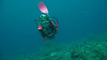 Buceo en Granada