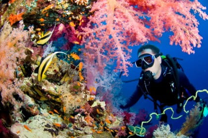 Buceo en Lanzarote