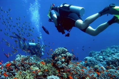 Buceo en Málaga