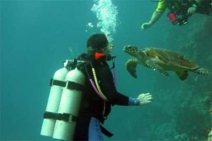 Buceo en Mar Rojo