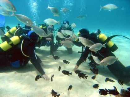 Buceo en Menorca