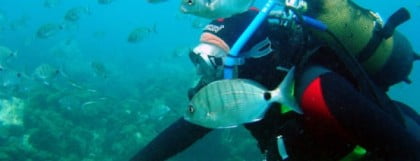 Centros de buceo en Málaga