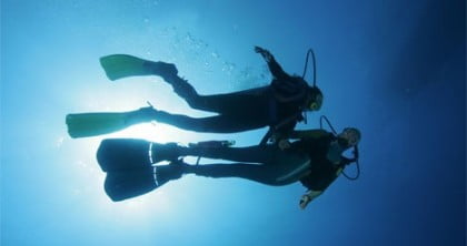 Centros de buceo en Valencia