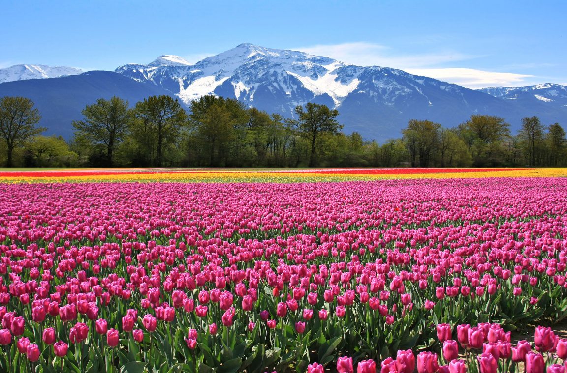 La primavera en Columbia Británica, Canadá