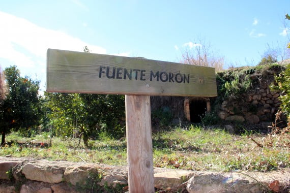 Fuente Morón