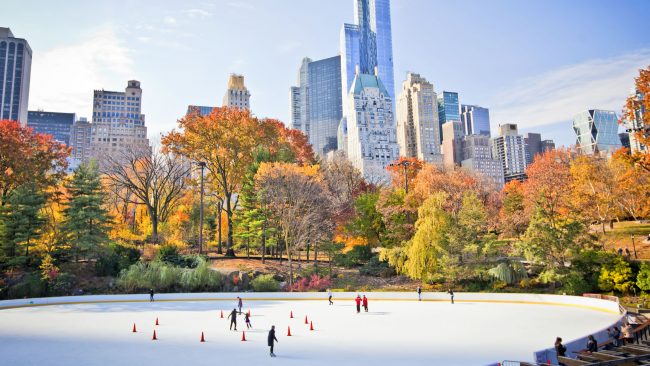 Invierno en Central Park