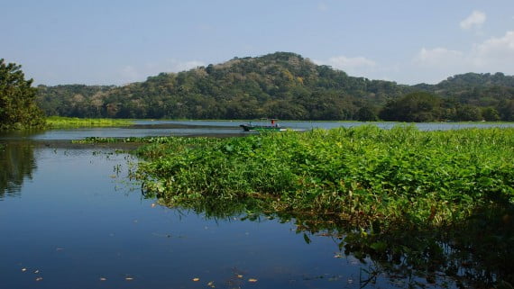 Lago Gatún (Panamá)