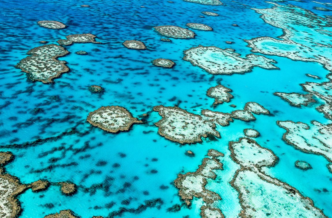 La Gran Barrera de Coral, Queensland, Australia