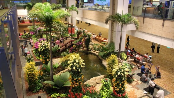 Los jardines y estanques del Aeropuerto de Changi (Singapur)