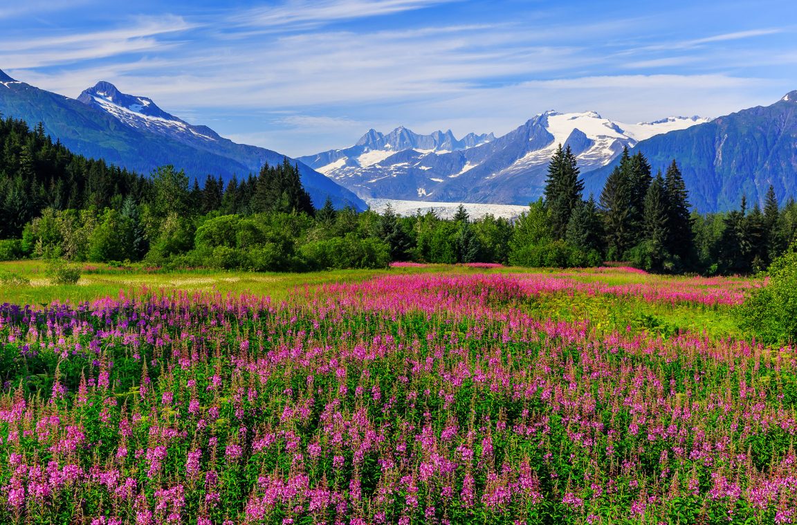 Paisaje de Juneau