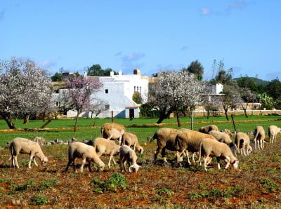 San Antonio, Ibiza