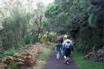 Senderismo en Madeira