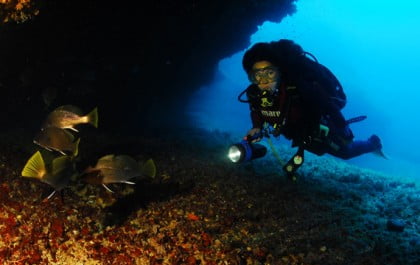 Submarinismo en Formentera