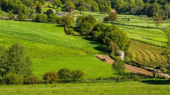 Típico paisaje de Galicia, norte de España