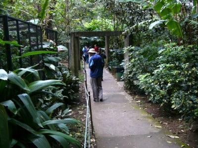 Caminata por el Zoológico de  San Jose