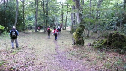 actividades al aire libre en Burgos