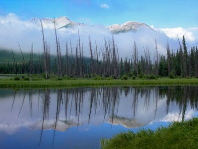 actividades por la naturaleza