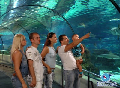 Túnel del Oceanario