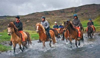 Caballos de Islandia