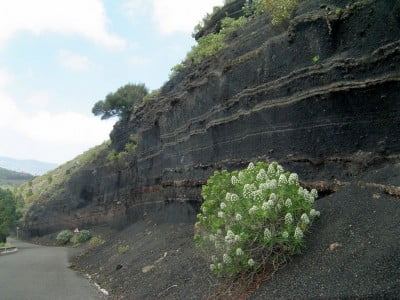 Camino a Bandama