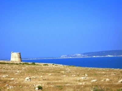 Cap Berbería en Espalmador