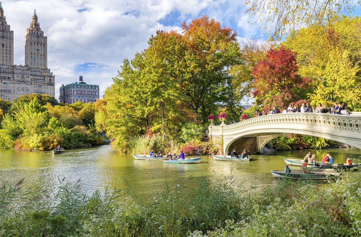 Central Park de Nueva York