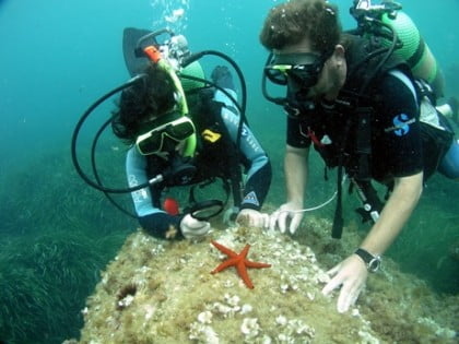 centros-de-buceo-en-Málaga