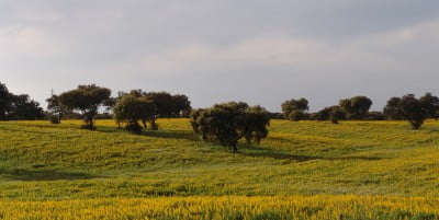 Clima de Portugal