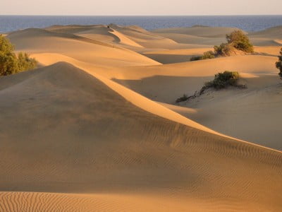 Dunas de Maspalomas