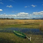 Ecosistema Tablas de Daimiel