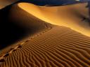 El Desierto de Namibia