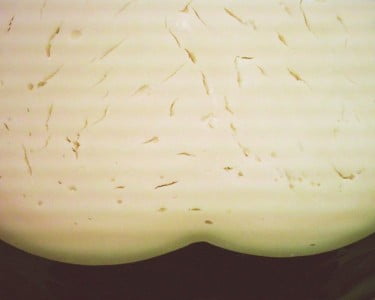 El Queso provolone parte