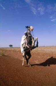 Embajada de Camerún desiertos