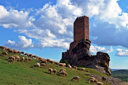 Foto del Castillo de Zafra