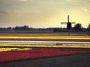 Fotografia de Holanda, Europa