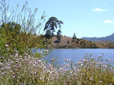 Gran Canaria en primavera