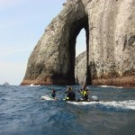 Imagen de la Isla de Malpelo