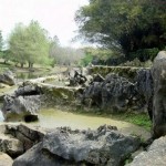 Imagen del Jardin Botanico de Cuba