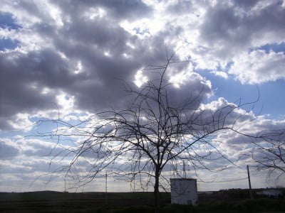 Imágenes del invierno en Huelva