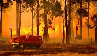 Incendios forestales en Australia