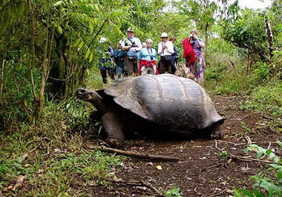 isla galapagos