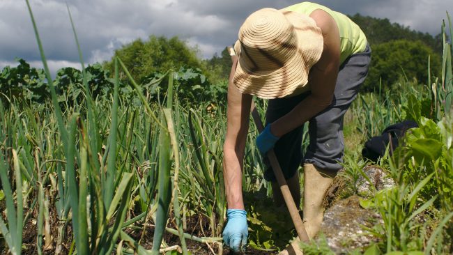 Las condiciones laborales de las mujeres latinoamericanas