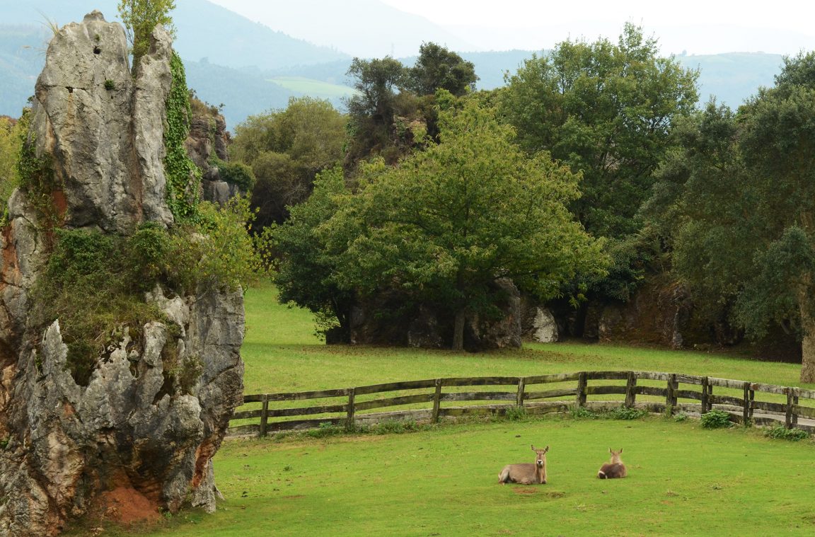 Parque de Cabárceno, Cantabria