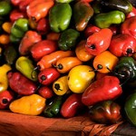 Mercado de San Pedro, Cuzco